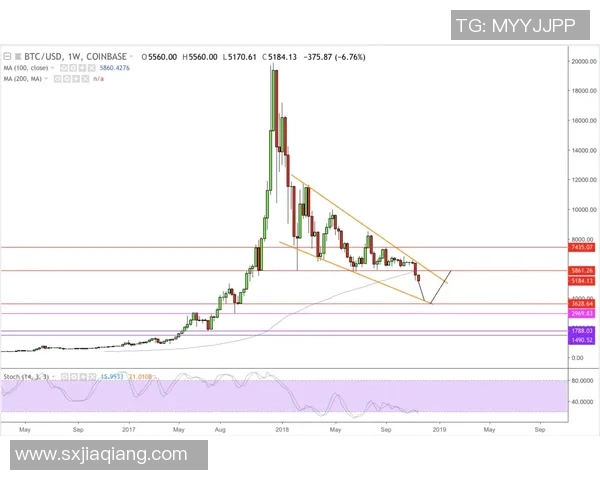 足球明星手套背后的科技与时尚揭秘探讨