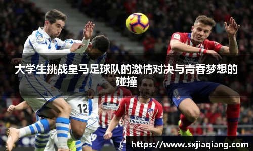 BB贝博登录入口