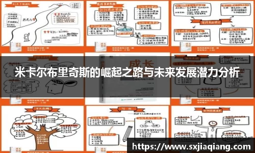 米卡尔布里奇斯的崛起之路与未来发展潜力分析