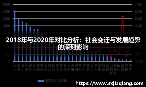 2018年与2020年对比分析：社会变迁与发展趋势的深刻影响